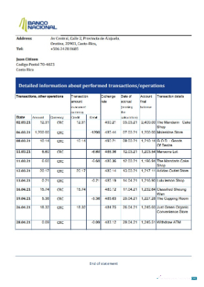 Download Costa Rica Banco Nacional bank statement excel Photoshop template